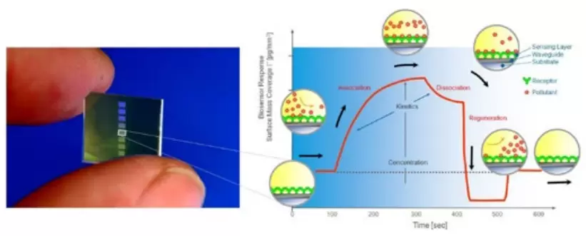 Contaminants in water samples are detected by analyzing the changes of the optical properties due to binding events on top of a waveguide.