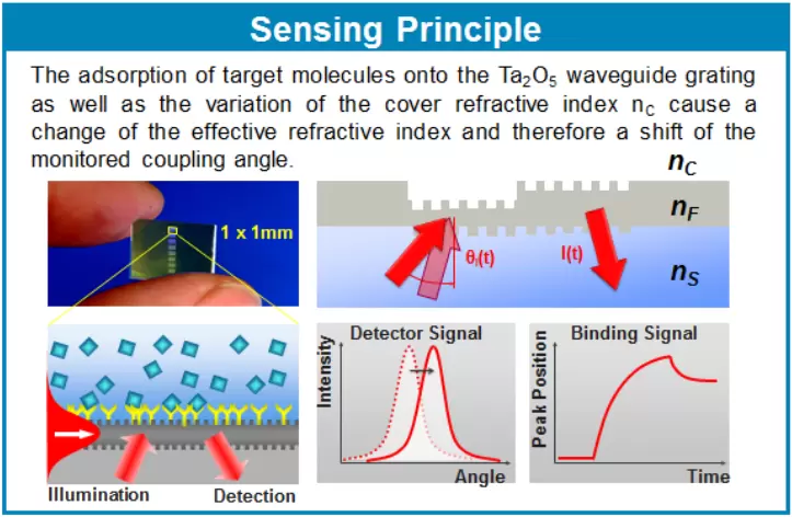 Sensing Principle