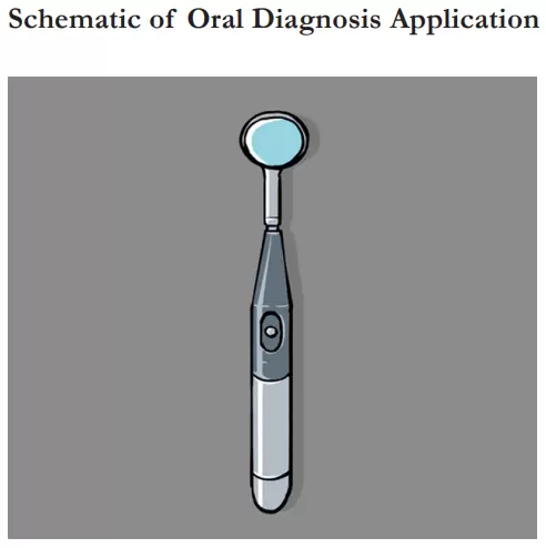 Schematic of Oral Diagnosis Application