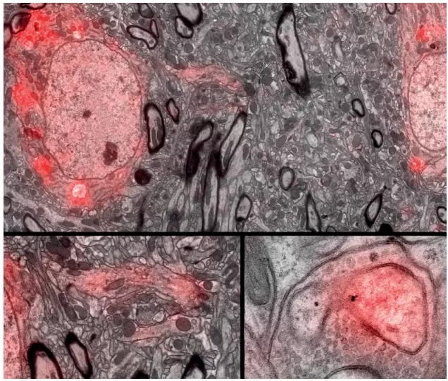 Application example: Overlay of light
