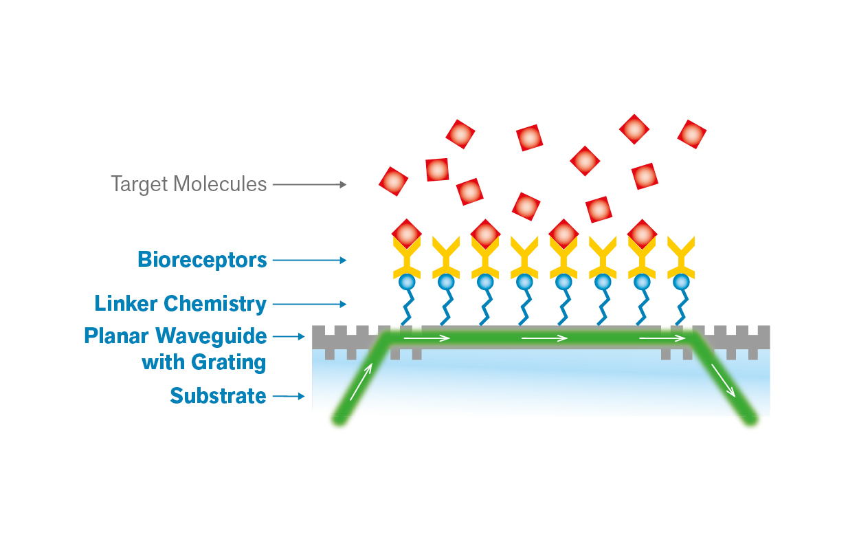 Materion Balzers Optics Biofunctional Coatings